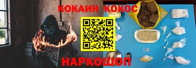 тгк Кингисепп
