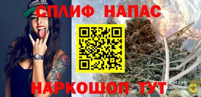 тгк Кингисепп