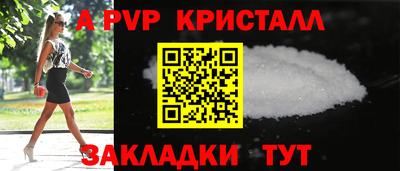 тгк Кингисепп