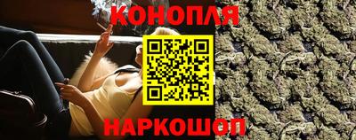 тгк Кингисепп
