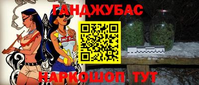 тгк Кингисепп